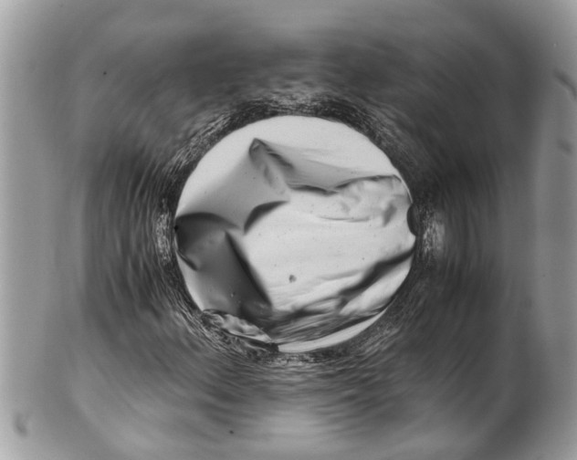 X0000101171156200807251126