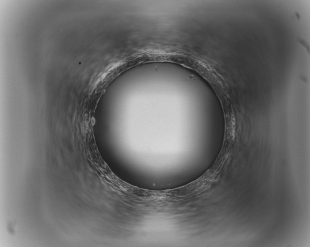 X0000101171157200807251126