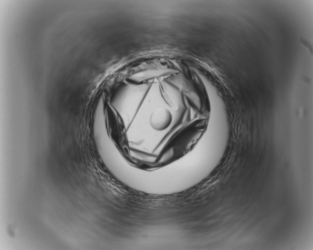 X0000101171160200807251126