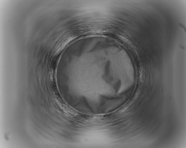 X0000101171161200807251126