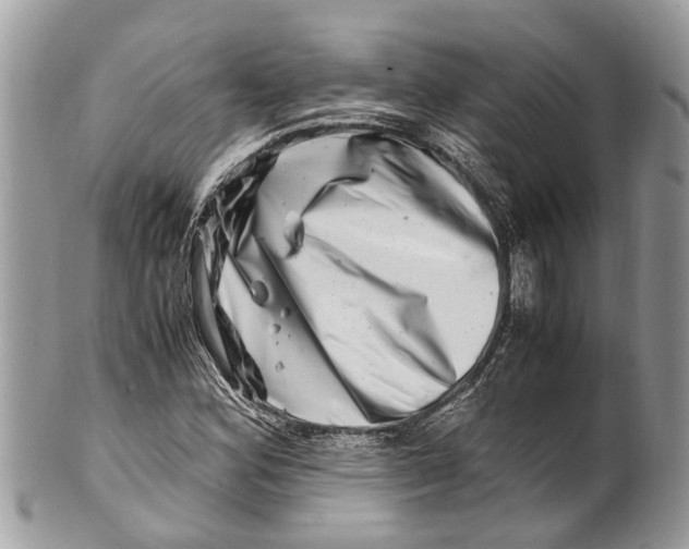 X0000101171164200807251126