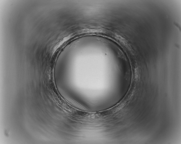 X0000101171165200807251126