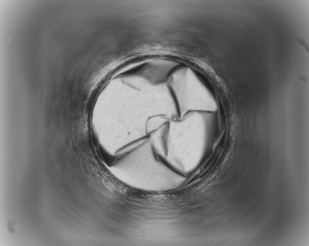 X0000101171167200807251126
