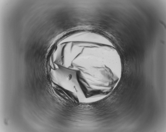 X0000101171168200807251126