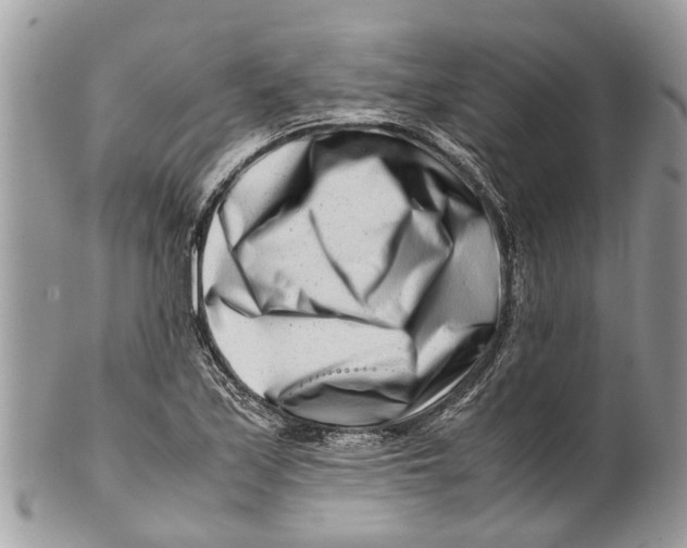 X0000101171171200807251126