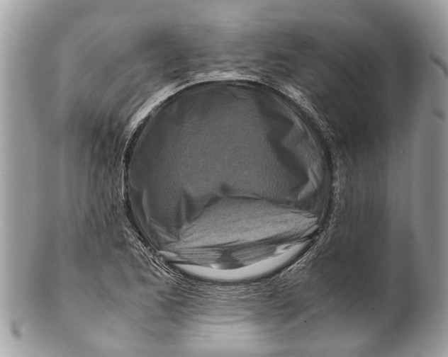 X0000101171173200807251126
