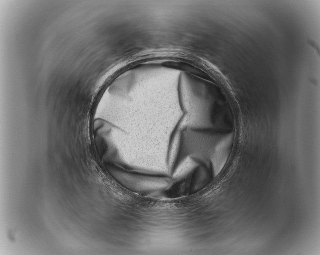 X0000101171174200807251126