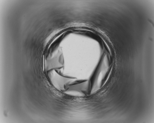 X0000101171175200807251126