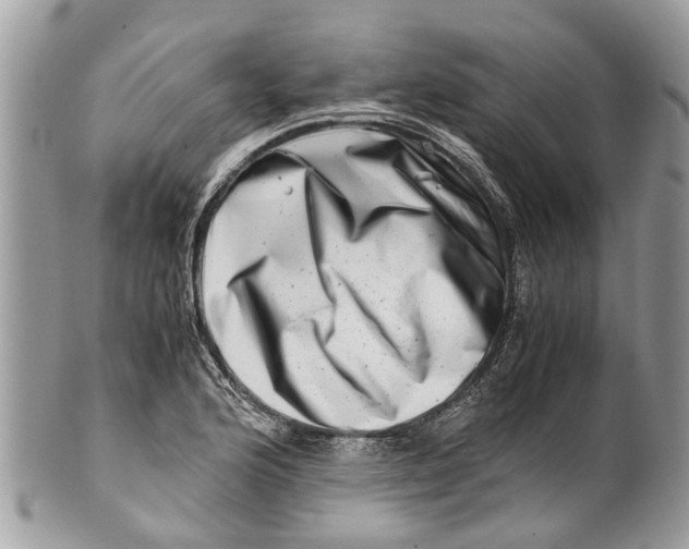 X0000101171176200807251126