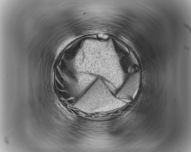 X0000101171179200807251126