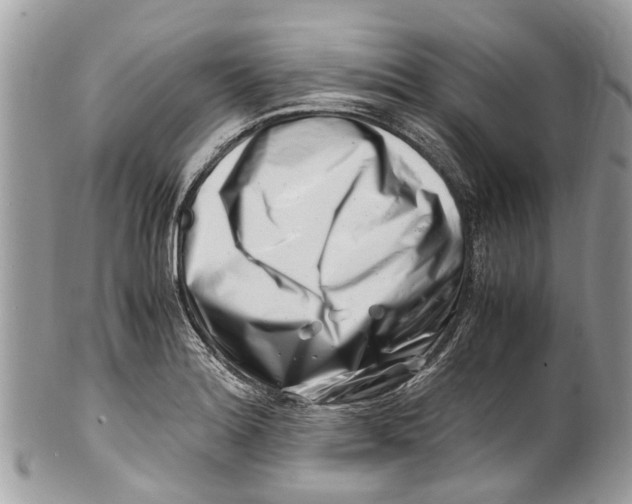 X0000101171180200807251126