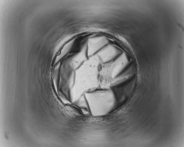 X0000101171183200807251126