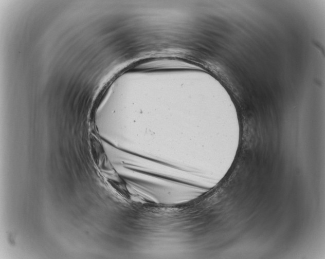 X0000101171184200807251126