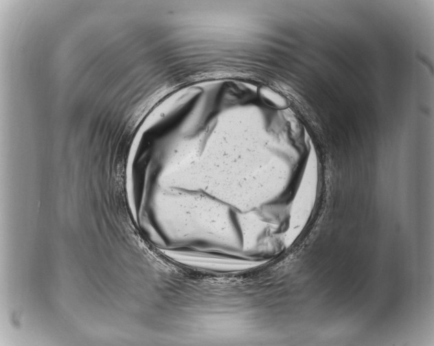 X0000101171185200807251126