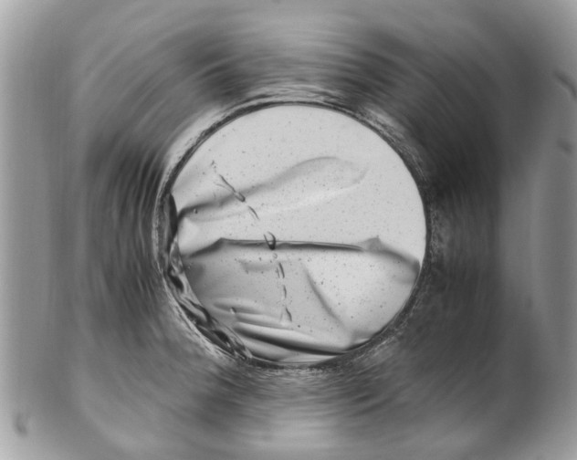 X0000101171188200807251126