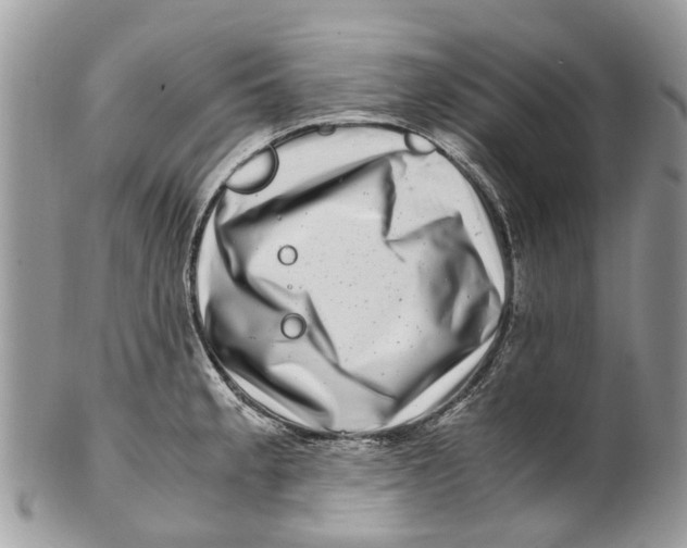 X0000101171189200807251126