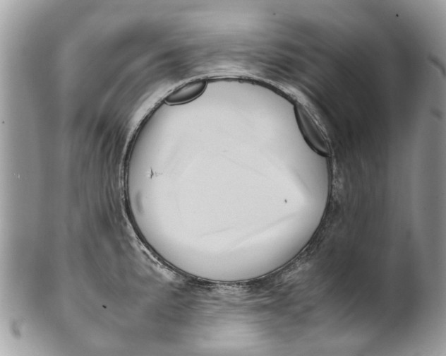 X0000101171191200807251126