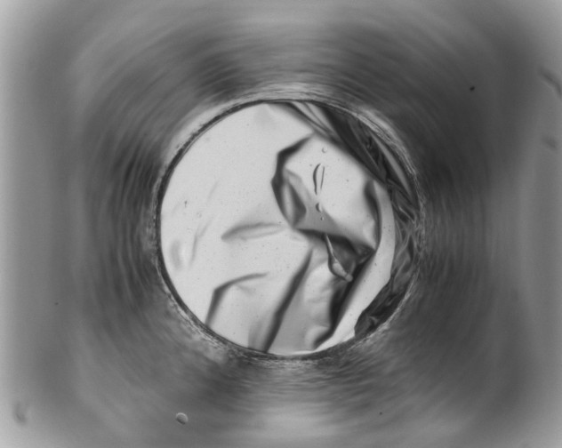 X0000101171192200807251126