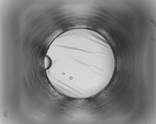 X0000101171193200807251126