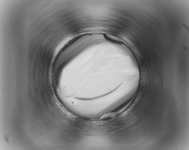 X0000101171196200807251125