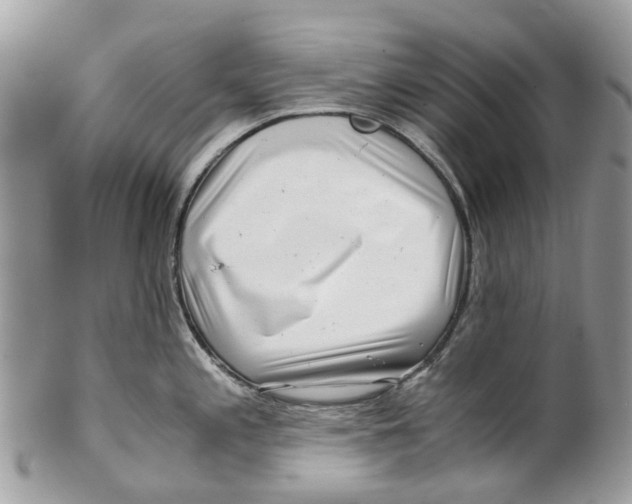 X0000101171197200807251125