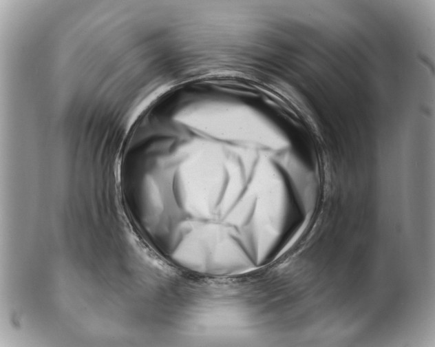 X0000101171198200807251125