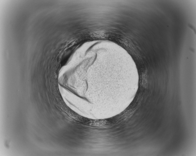 X0000101171201200807251125