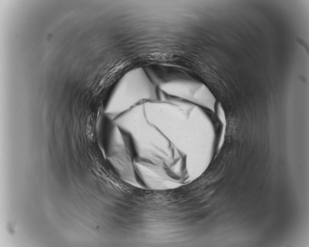 X0000101171202200807251125