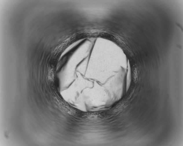 X0000101171204200807251125