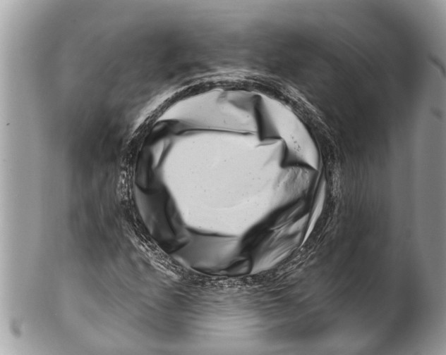 X0000101171208200807251125
