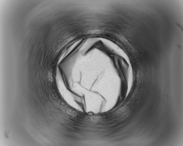 X0000101171209200807251125