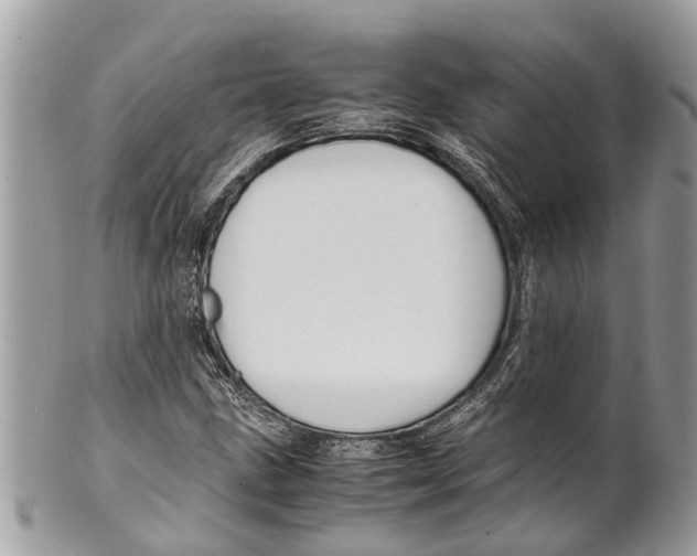 X0000101171211200807251125
