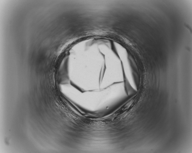 X0000101171214200807251125