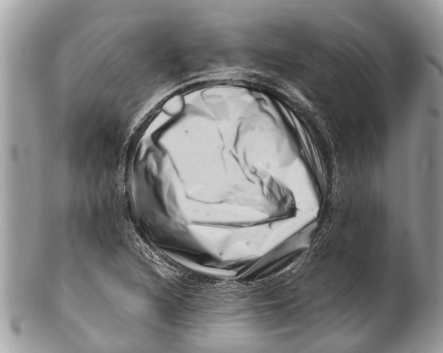 X0000101171216200807251125