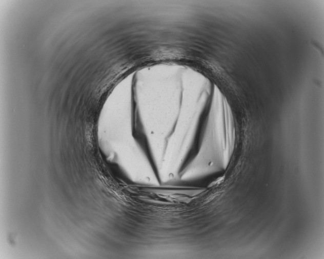 X0000101171217200807251125
