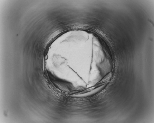 X0000101171219200807251125