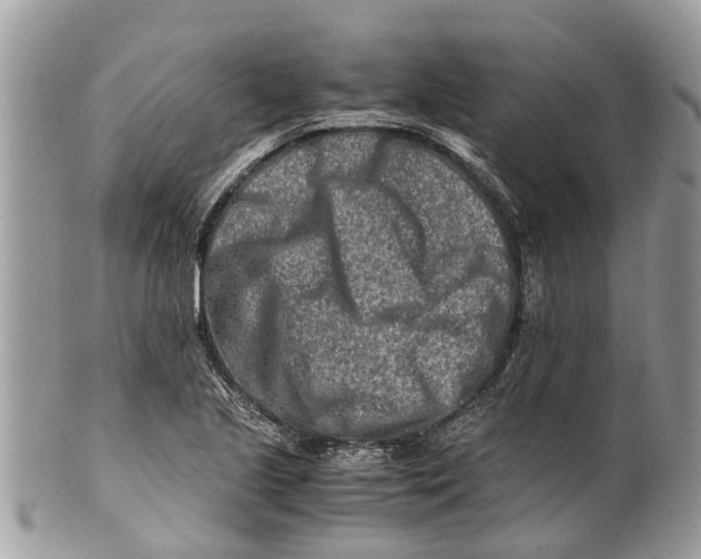 X0000101171221200807251125