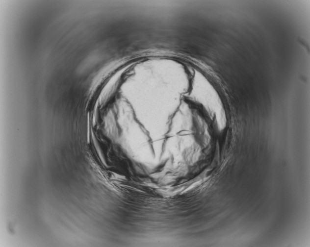 X0000101171223200807251125