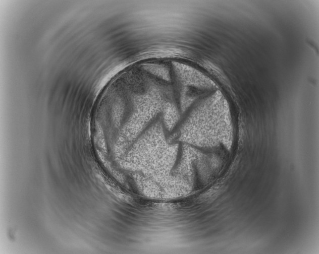 X0000101171226200807251125