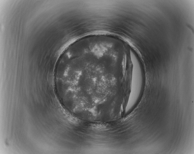 X0000101171229200807251125