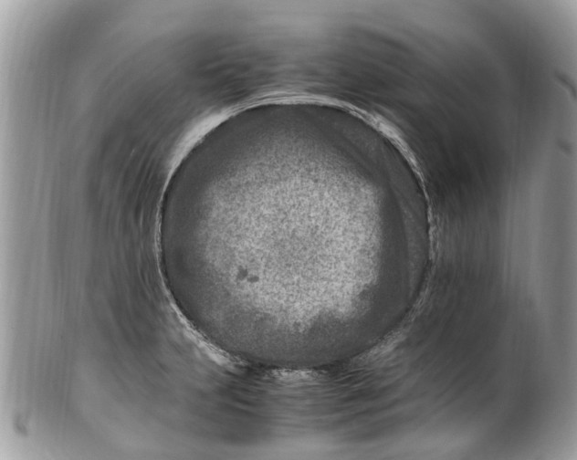 X0000101171231200807251125