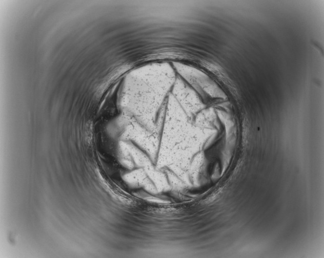 X0000101171233200807251125