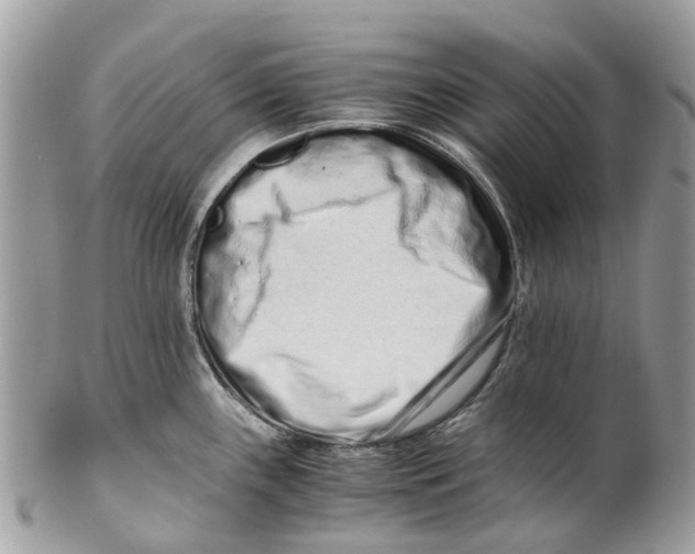 X0000101171243200807251125