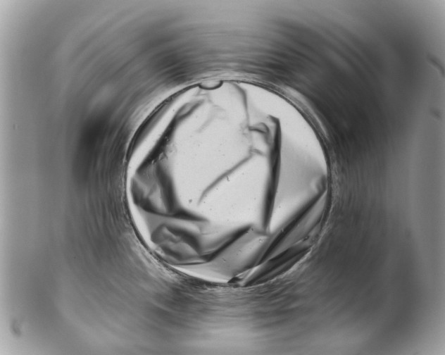 X0000101171244200807251125