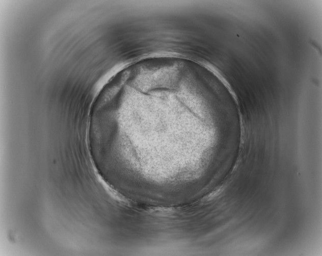 X0000101171245200807251125