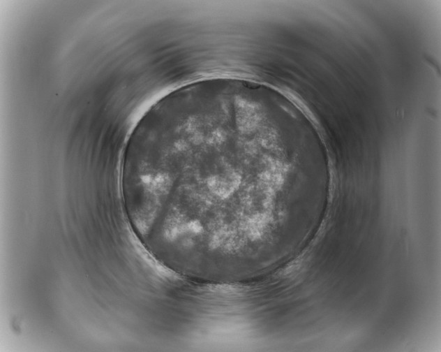 X0000101171246200807251125