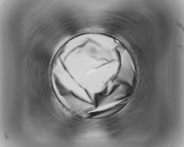 X0000101171248200807251125