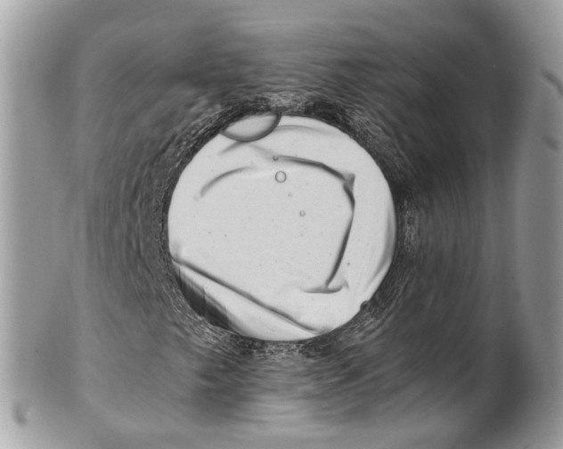 X0000101171249200807251125