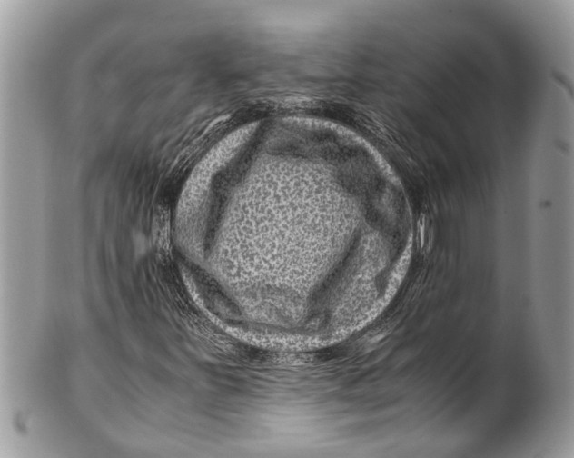 X0000101171251200807251125