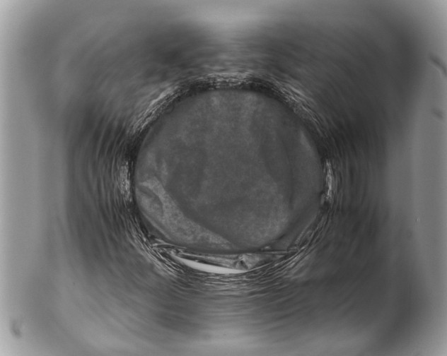X0000101171252200807251125